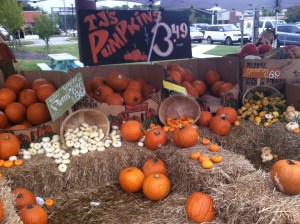 pumpkins