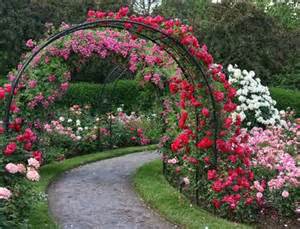 rose arch